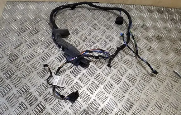BMW X1 E84 Front door wiring loom 9269941 9191808