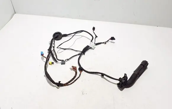 Audi A5 Other wiring loom 8B3971030AF