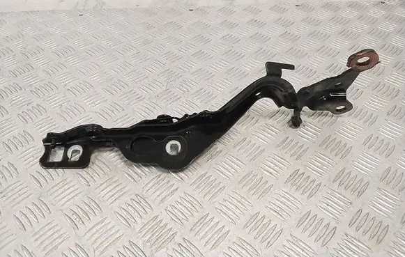 Ford Mach-E I Engine bonnet/hood hinges LJ8BR16C965AE
