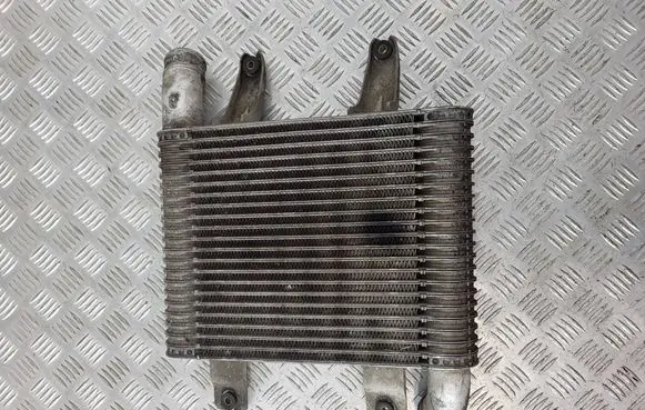 Hyundai Terracan Intercooler radiator