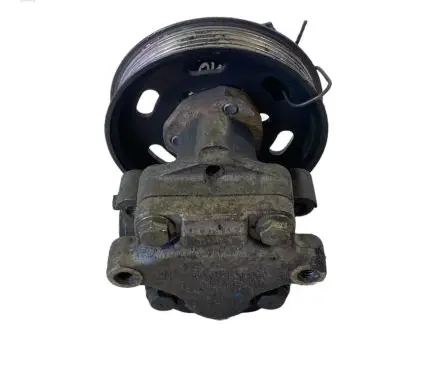 Seat Ibiza III (6L) Power steering pump