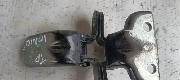 Hyundai Ioniq Loading door hinge set 100200300RR