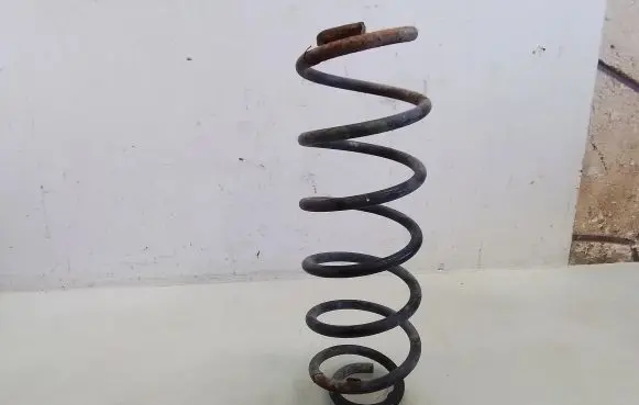 Ford Fusion Rear coil spring