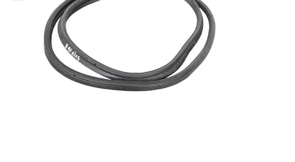 BMW 2 F22 F23 Trunk rubber seal (body) 7304538
