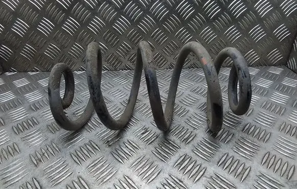 Rear coil spring