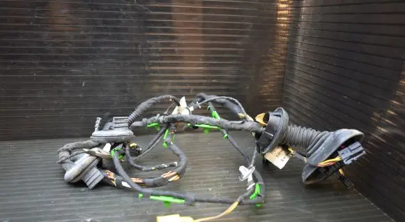 Front door wiring loom