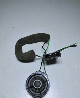 Front door high frequency speaker