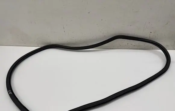 Cupra Leon Rear door rubber seal (on body) 5FA867367