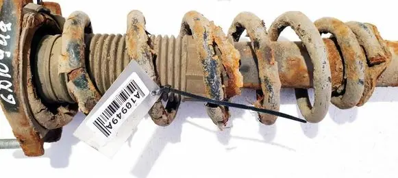 Toyota Corolla Verso AR10 Rear coil spring 