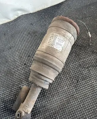 Land Rover Range Rover Sport L320 Shock absorber/damper/air suspension 22260148