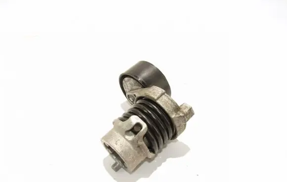 Renault Captur Alternator belt tensioner 6571010