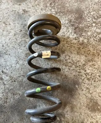 Rear coil spring