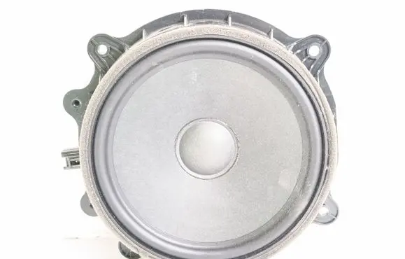 Tesla Model 3 Front door speaker 107974400E