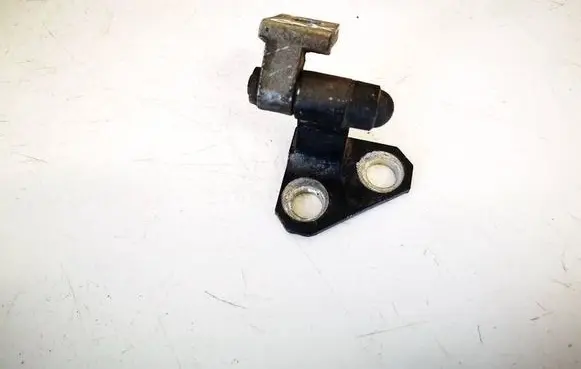 Volkswagen PASSAT B6 Rear door lower hinge