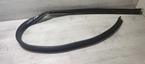 Dacia Logan II Front door rubber seal NV20