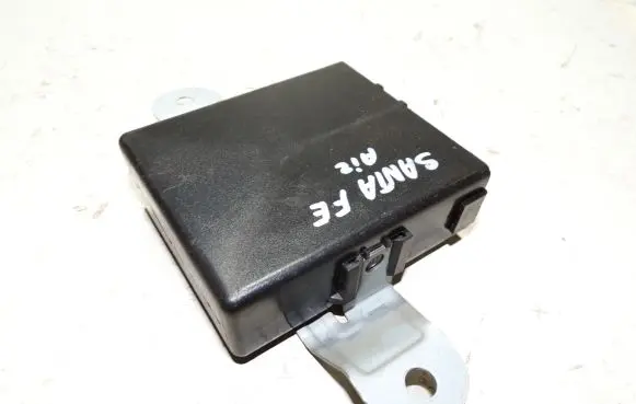 Hyundai Santa Fe Other control units/modules 9875026000