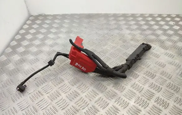 Ford B-MAX Positive wiring loom C1BT14A390TA