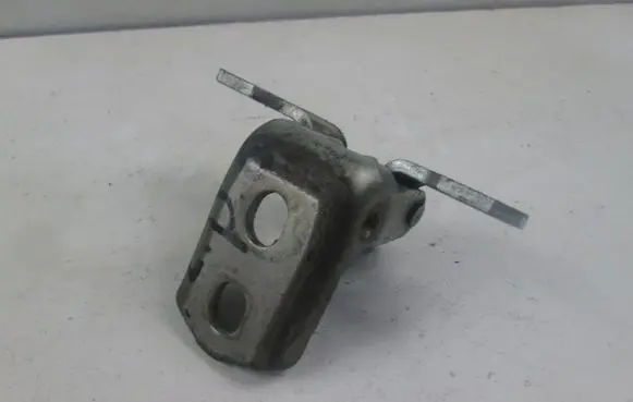 Renault Vel Satis Front door hinge set 