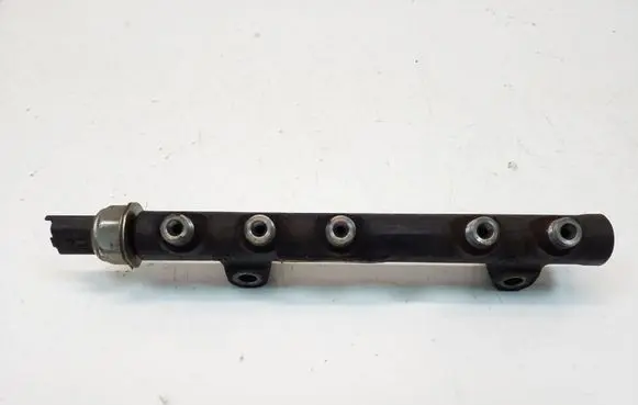 Ford Focus Fuel main line pipe 968529758002 111895478
