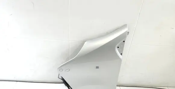 Renault Trafic III (X82) Fender