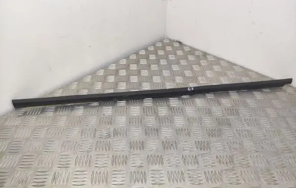 Volkswagen T-Roc Rear door glass trim molding