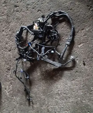 Hyundai Santa Fe Engine installation wiring loom 