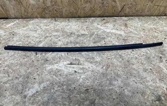 Renault Zoe Front door glass trim molding 