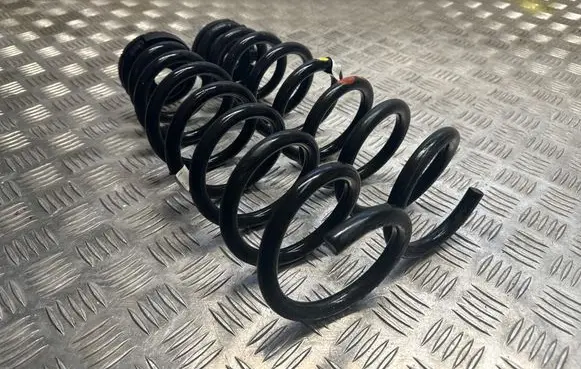 Rear coil spring