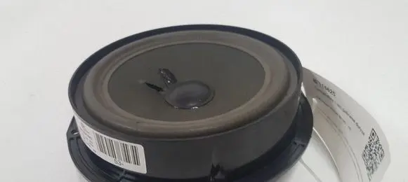 Volkswagen PASSAT B6 Rear door speaker
