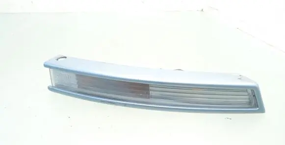 Volkswagen PASSAT B6 Front indicator light 3C0953042H