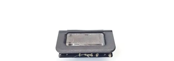 Mercedes-Benz ML W163 Front door interior light TL823317