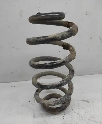 Rear coil spring