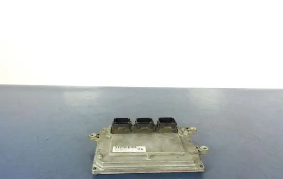 Engine control unit/module ECU