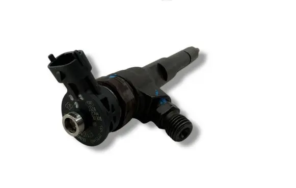 Renault Kangoo II Fuel injector 8201108033