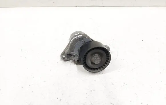 Renault Espace - Grand espace IV Alternator belt tensioner 117507568R