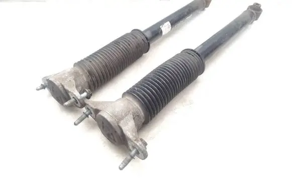Tesla Model 3 Rear shock absorber/damper 104446102E