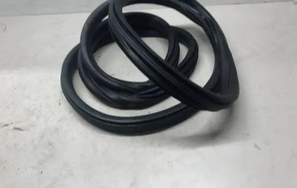 BMW X1 F48 F49 Front door rubber seal 7349628