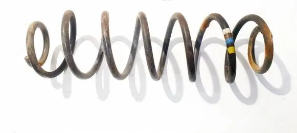 Rear coil spring