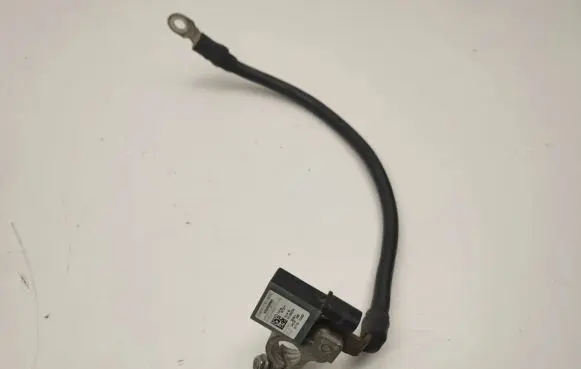 Mercedes-Benz C W205 Negative earth cable (battery) A0009050554