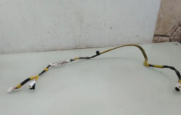 Toyota Prius (NHW20) Rear door wiring loom 8974647020