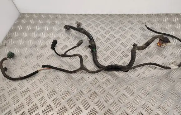 Citroen DS5 Other wiring loom 9800062280
