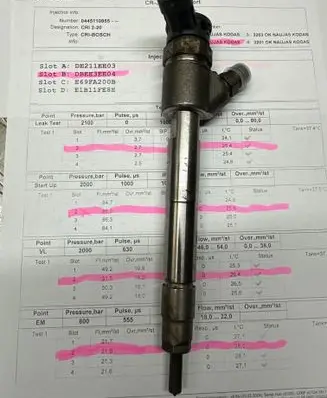 Citroen C3 Fuel injector 9828959880 0445110955