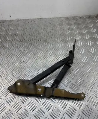 Dodge Avenger Tailgate/trunk/boot hinge 05155000AE