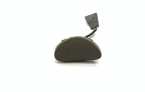 Front door speaker