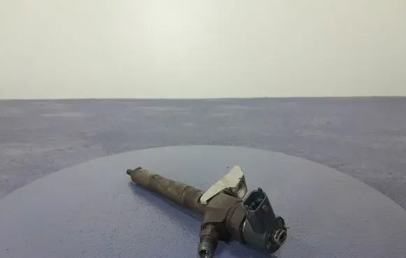 Fiat Croma Fuel injector 0445110