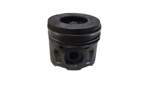 Citroen C5 Piston 