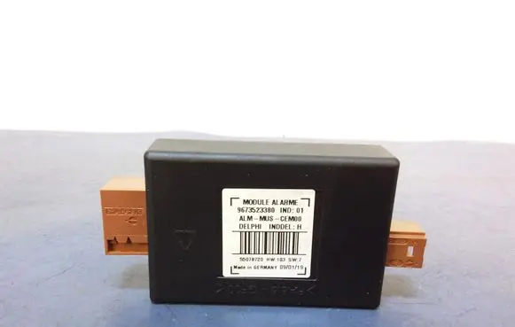 Peugeot 308 Other control units/modules 9673523380