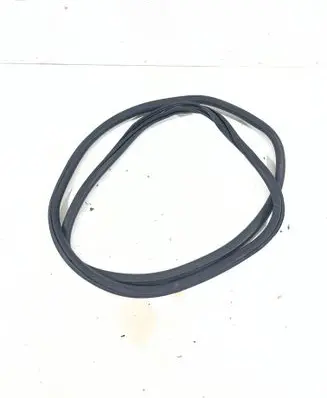 Peugeot 308 Front door rubber seal 9677519680