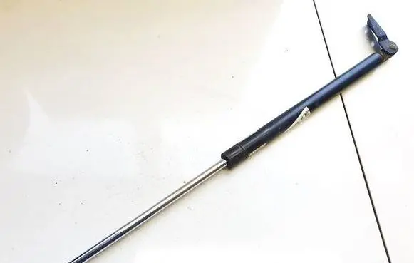 Tailgate/trunk strut/damper