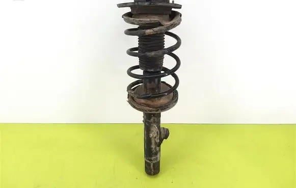 Peugeot 307 Front shock absorber with coil spring
